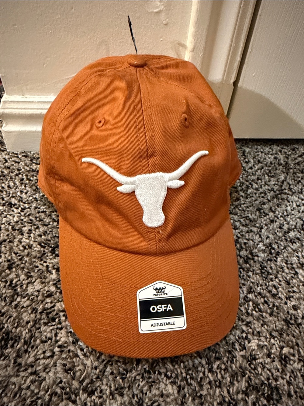 Embroidered Longhorn Logo Adjustable Hat - Burnt Orange